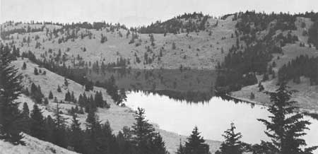 Chopaka Lake