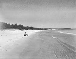 Whitefish Bay