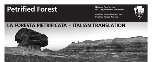 brochure cover