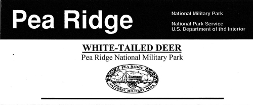 brochure cover