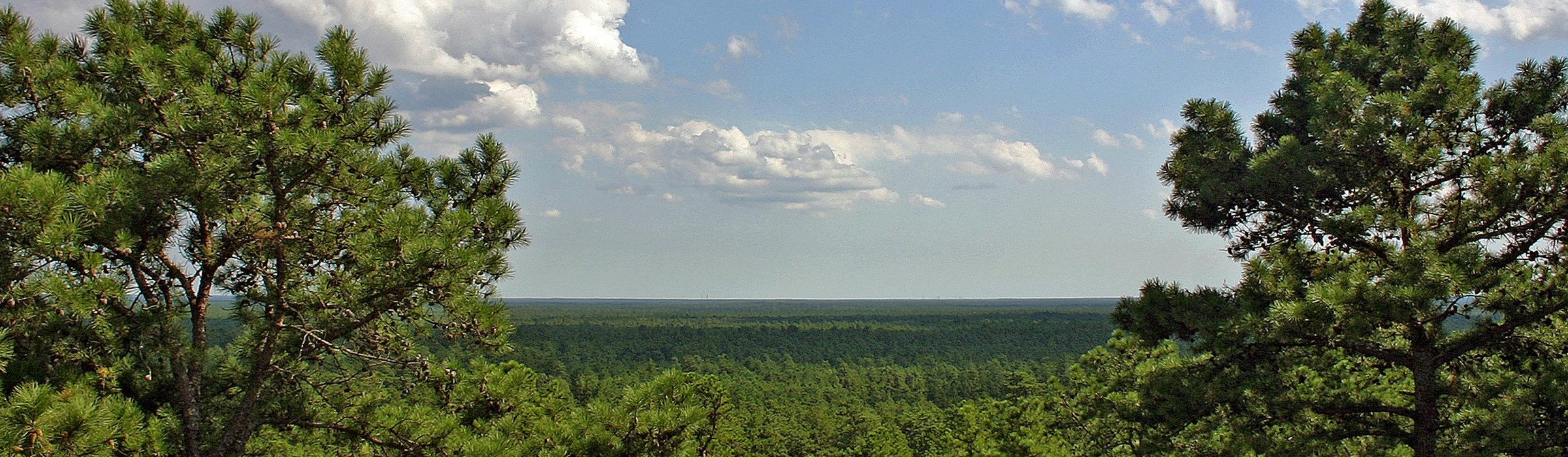 Park Photo