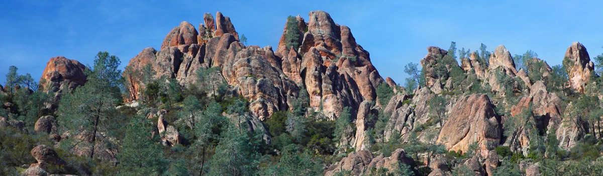 Park Photo