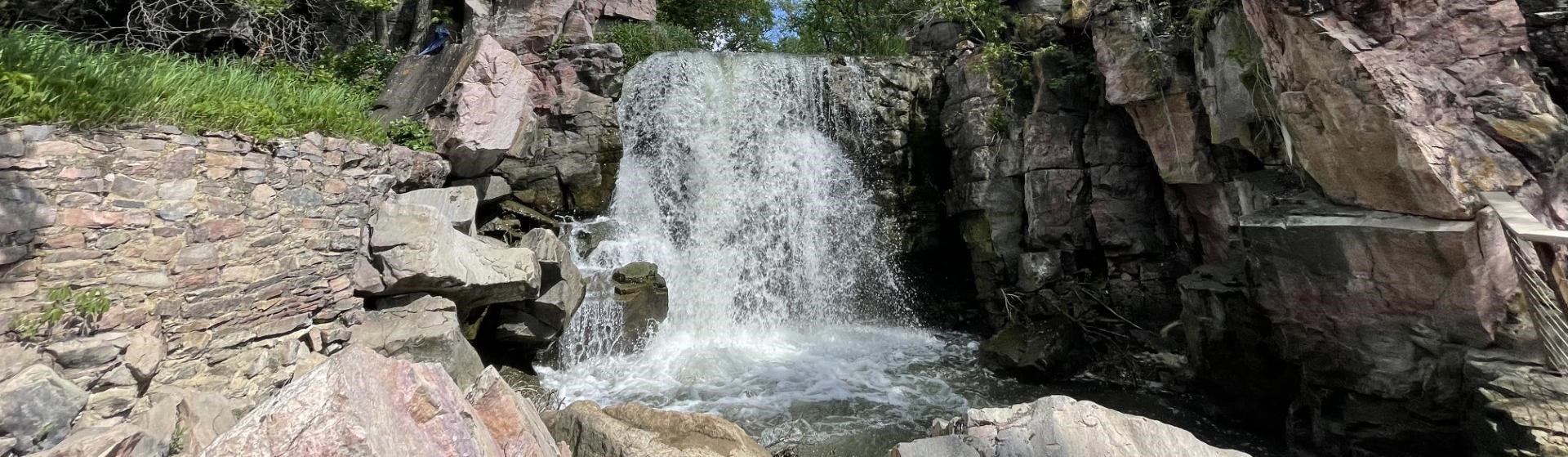 Park Photo