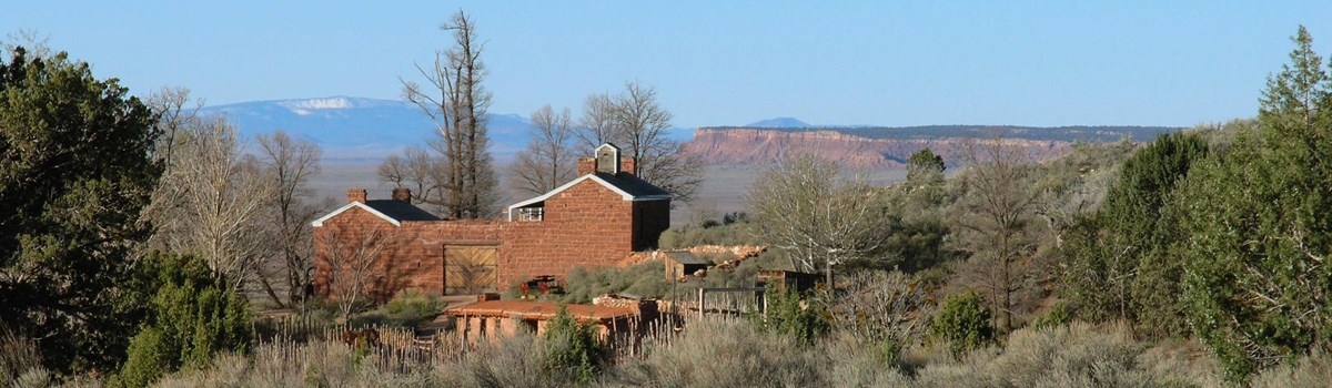 Park Photo