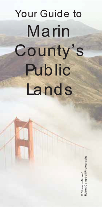 brochure cover
