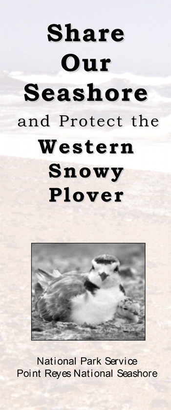 brochure cover