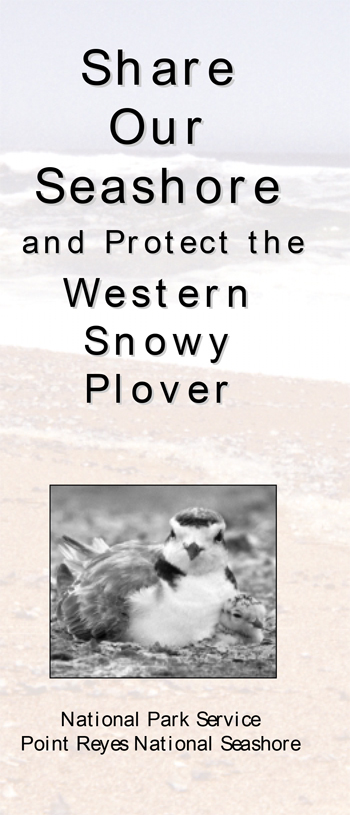 brochure cover