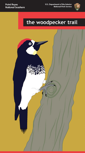 brochure cover