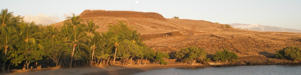 Park Photo