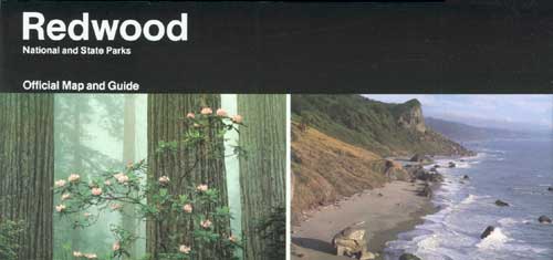 brochure cover