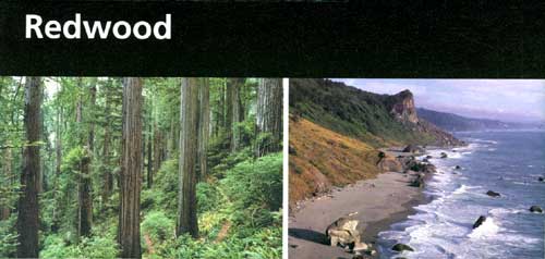 brochure cover