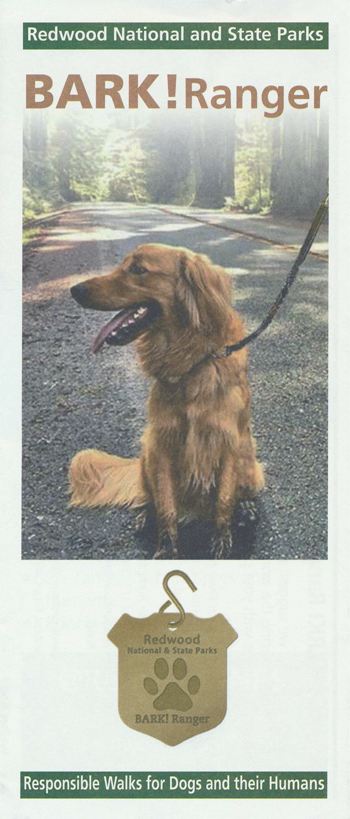 brochure cover