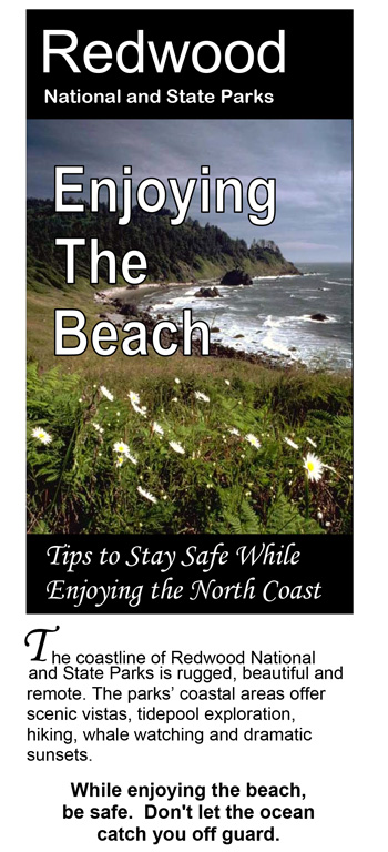 brochure cover