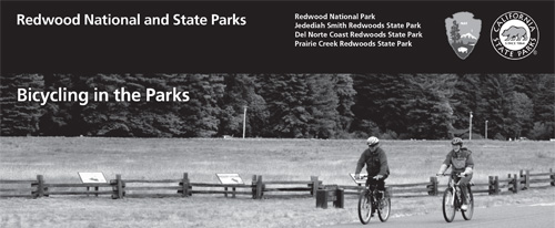 brochure cover