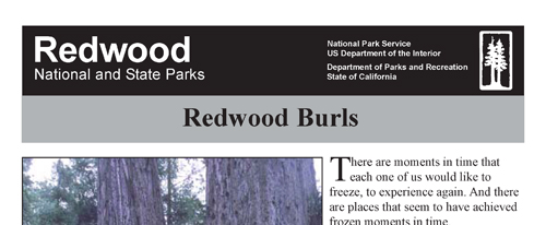 brochure cover
