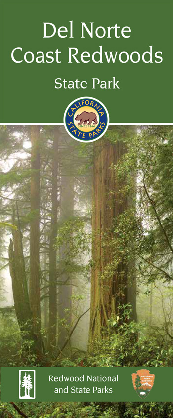 brochure cover