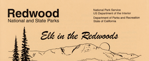 brochure cover