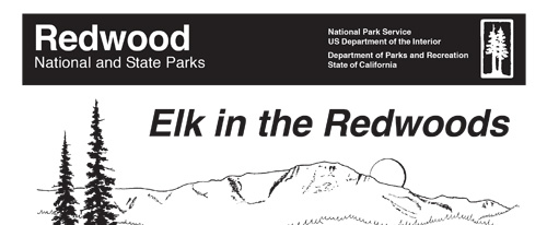 brochure cover