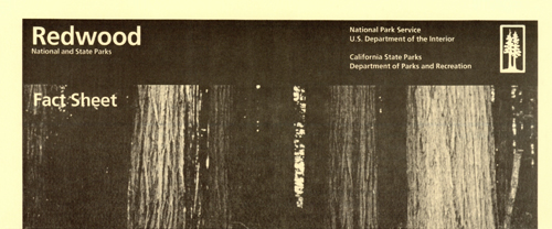 brochure cover
