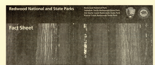 brochure cover