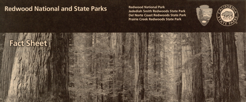 brochure cover