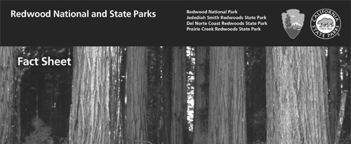 brochure cover
