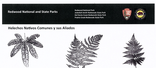 brochure cover