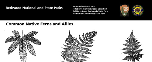 brochure cover