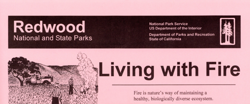 brochure cover