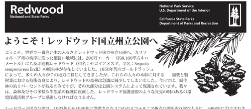 brochure cover