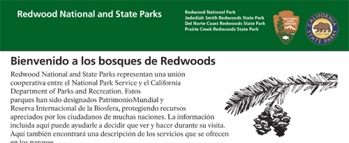 brochure cover
