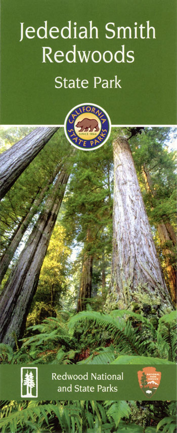 brochure cover