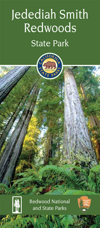 brochure cover