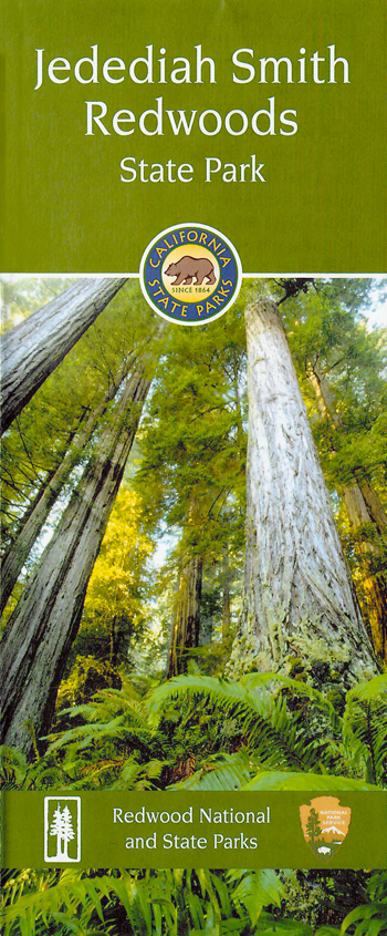 brochure cover