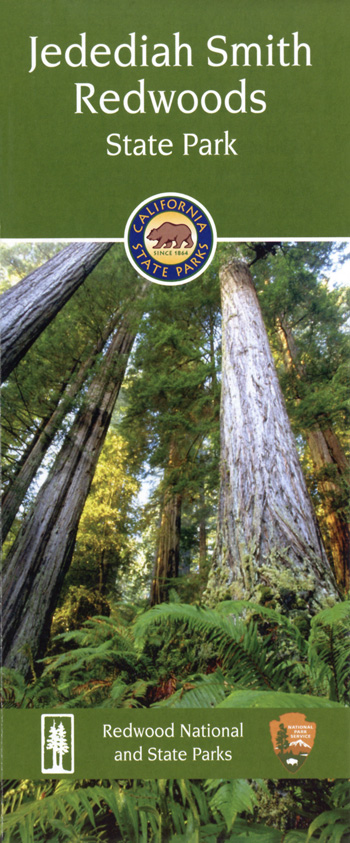brochure cover