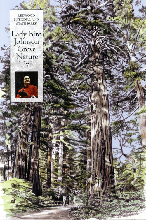 brochure cover