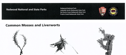 brochure cover