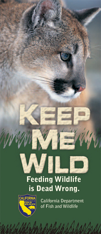 brochure cover