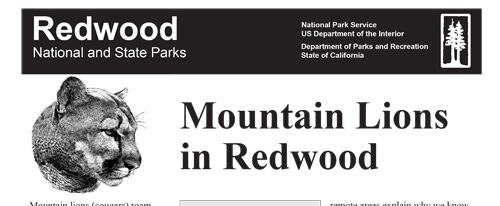 brochure cover