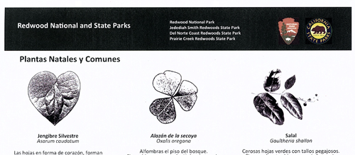 brochure cover