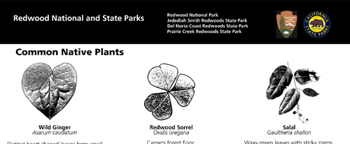 brochure cover