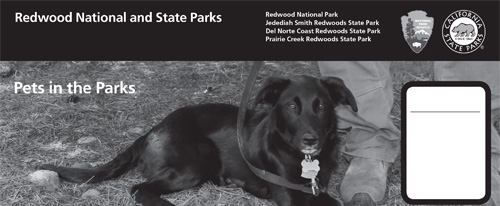 brochure cover
