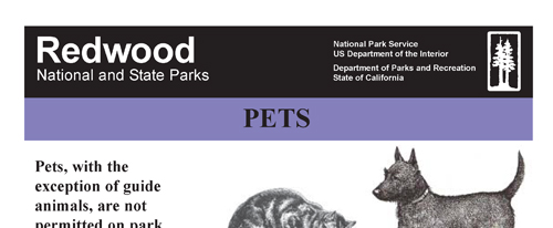 brochure cover