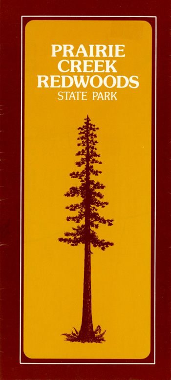 brochure cover