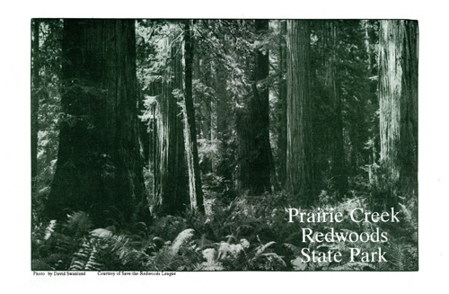 brochure cover