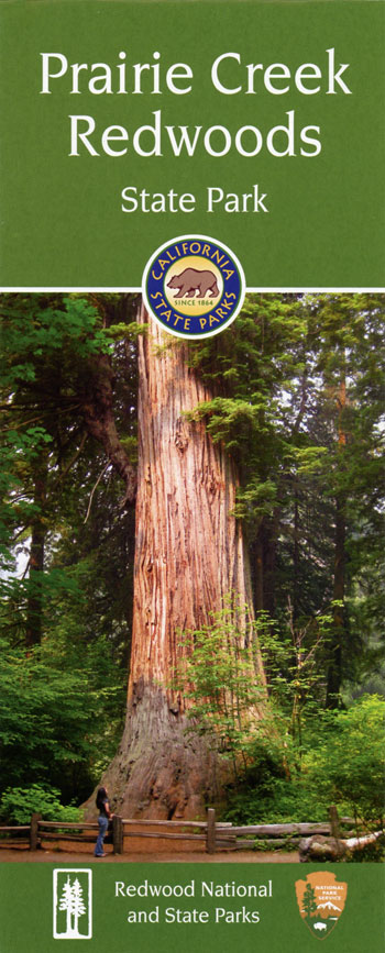 brochure cover