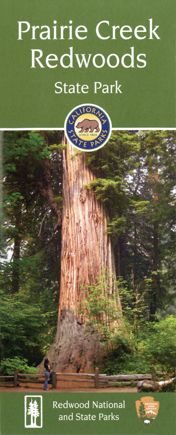 brochure cover
