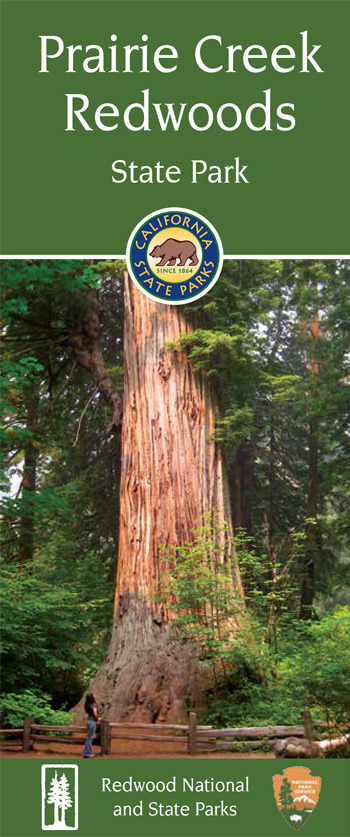 brochure cover