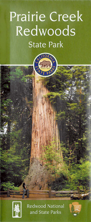 brochure cover