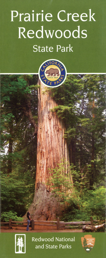 brochure cover